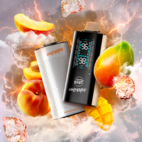 Flavour Beast Unleash 20K - Peach Mango Disposable