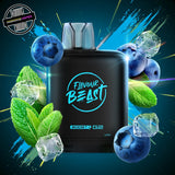 A 20ml prefilled vape pod by Level X Flavour Beast in blueberry mint ice flavour. The pod is surrounded by blueberries, mint leaves, and ice cubes. Underground Vapes Woodstock and London